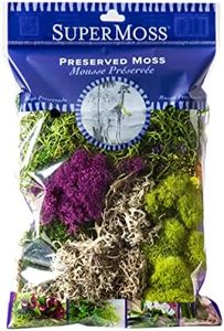 SuperMoss 