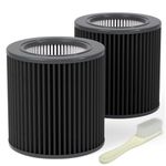 Leemone 2 Pack H13 True PECO-HEPA Filter Replacements for Molekule Air Mini & Air Mini + Air Purifiers, High-efficiency Cleans Air of Smoke VOCs Dust & Other Pollutants