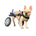 Dog Wheelchair - for Small Dogs 11-25 Pounds - Veterinarian Approved - Dog Wheelchair for Back Legs