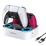 NEWDERY PS5 Controller Charger Station Compatible with Dualsense Edge Controller, Fast Charging Dock Stand with Cable, Dual Controller Charging Station for Playstation 5&for Dual-Sense Edge Controller