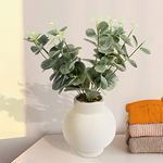 Anko Artificial Eucalyptus Plant with White Vase (Potted Plant) | Decorative Artificial Plant for Home, Office, Bedroom, Balcony, Living Room, Table | Natural Look Artificial Plant for Home Décor