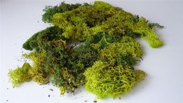 Javis Mixed Green Model Scenic Lichen - Approx 60 Grams