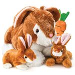 Prextex Soft Plush Bunny Teddy with Zippered Pouch for Little Baby Bunnies - Adorable Toy Rabbit for Kids - Perfect Teddy Gift for Babies