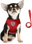 FEimaX Small Dog Cat Harness and Leash Set, No Pull Adjustable Pet Mesh Harness with Reflective Strips Escape Proof Puppy Kitten Vest for Extra Small Dogs Cats