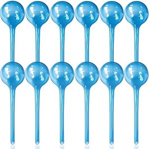 Large 12pc
