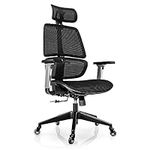 LINSY HOME High-Back Office Chair, 