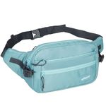 F Gear Wagner 8L Light Grn Crossbody Waist Pouch Elegant Style Travel Pouch Passport Holder w Adjustable Strap Chest Bag Large Fanny Packs Sport Bag for Travel Running Outdoor Cycling Riding |Unisex