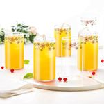 Borosil Vision Ayana 295 ml Set of 6 pcs Transparent Drinking Glass |Borosilicate Glass Tumblers for Water, Cold Drinks, Juice| Flame Proof, Microwave & Dishwasher Safe | for Daily use & Gifting