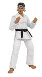 Icon Heroes The Karate Kid Daniel Larusso Action Figure