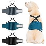 3 Pack Avont Male Dog Belly Band wi