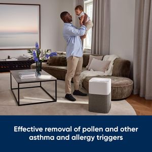 Blueair Blue 3610 Air Purifier – HEPA Filter, Large Room