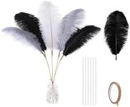 Holmgren Black White Grey Ostrich Feathers - 20pcs Making Kit 22 Inch Ostrich Feathers Bulk for Vase, Floral Arrangement, Wedding Party Centerpieces and Home Decorations