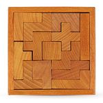 Wooden Brain Teaser Puzzles for Kids and Adults, New Level of Challenge for Those Who Love Good Mental Workout