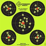 Splatterburst Targets - 12 x12 inch