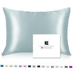 Ravmix 100% Mulberry Silk Pillow Case for Hair and Skin with Hidden Zipper, Both Sides Silk Pillowcase Standard Size 20×26 inches, 1PCS, Aqua Green