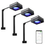 PopBloom RL90 Led Aquarium Light for Coral Reef, Smart-APP Control Reef Led Light Aquarium Marine Lighting Fish Tank Light for 120-150CM Saltwater SPS/LPS Mixed Reef Fish Aquarium