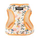 Downtown Pet Supply Step in Dog Harness for Small Dogs No Pull, Small, Floral - Adjustable Harness with Padded Mesh Fabric and Reflective Trim - Buckle Strap Harness for Dogs