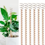 YYBD 6Pcs 12" Electroculture Plant Stakes Long Copper Gardening Stakes Clockwise Electroculture Copper Coil Antennas Electronic Planting Accessories for Outdoor Indoor Promote Vegetables Plants Growth