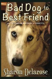 Bad Dog to Best Friend: The Transformation of Dakota