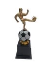 RAINY FOREST football Trophy for Party celebration Gift, sport Academy, Awards for teachers& students multicolour 390 10 inch