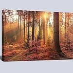 msspart Mystery Forest Light Wall A