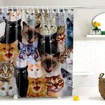 Curtains For Cats