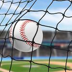 Wiseek 10'x20' Baseball Softball Backstop Nets, Heavy Duty Baseball Netting Ball Stop Netting #18 Nylon Sport Netting Barrier