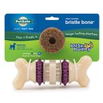 PetSafe Busy Buddy Bristle Bone Dog Toy, Chew Toy with Treats