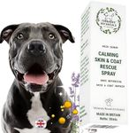 FurBabies Lavender Multipurpose Pet Skin Serum Oil - Detangling, Flea Repellant | Deodorising Perfume | Hair Conditioner | Cats & Dogs with Sensitive Coats | Knot Remover, Skin Barrier Repair | 50ml