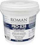 Roman 011301 PRO-838 1 gal Heavy Duty Wallpaper Adhesive, Clear