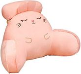 Weston Ink Reading Pillow & TV Relax Sitting Pillow - Back Rest with Arms, Perfect for Teens, and Kids - for Back, Pregnancy Lumbar, Head Neck Coccyx Support, Plush Cushion.