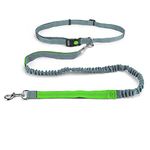 Running Dog Leashes