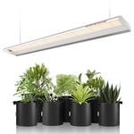 Spider Farmer SF600 LED Grow Light Sunlike Full Spectrum Growing Lamp for Indoor Plants Seeding Veg Flower Hydroponic with 384 Diodes