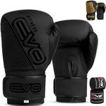 EVO Boxing Gloves (Black EVO Matt, 12 OZ)