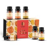 Florona Spice Premium Quality Fragrance Oil Gift Set of 6-1 fl oz (10 ml x 6) for Diffuser Aromatherapy- Cinnamon, Harvest Spice, Apple Cider, Coffee Cake, Gingerbread, Pumpkin Pie