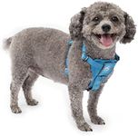 Kurgo Dog Harness | Pet Walking Harness | No Pull Harness Front Clip Feature for Training Included | Car Seat Belt | Tru-Fit Quick Release Style | Small | Blue