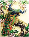 HASTHIP® 5D Diamond Embroidery DIY Peacock Cross Stitch Craft Painting