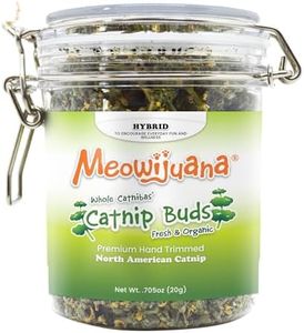 Meowijuana