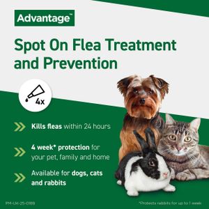 Advantage Spot On Flea Treatment for Cats & Small Dogs Under 4kg