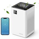 Inexpensive Air Purifiers