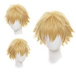 Gairyan Short Blonde Wig Cosplay Wig Unisex Anime Cosplay Wigs for Women/Men Straight Fluffy Wig Costume Theme Party Fancy Dress Wigs Halloween Wig Comic-Con Costumes Accessories