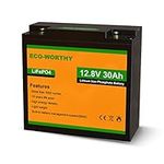 ECO-WORTHY 30Ah 12.8V Lithium Battery LiFePO4 Lithium Iron Phosphate Rechargeable with 3000+ Deep Cycles and BMS Protection Perfect for Shed/Boat/Lawn Mower/Ride on Car/Trolling Motor