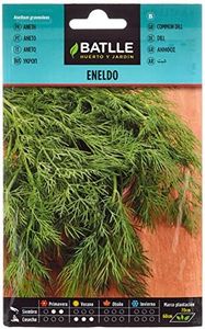 Semi di erba di Batlle - Dill (Seeds - 20cm)