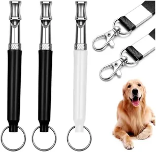 3 Pack Dog
