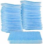 Master Elite Premium Paint Spray Booth Exhaust Filter Pad 20" x 20", Box of 100-18 Gram Fiberglass Paint Arrestors - Captures Traps Overspray Particles in Auto Car Autobody Refinish Booths