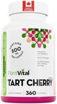 PlantVital Tart Cherry Capsules - Made in Canada - 10,000mg (10:1 Cherry Extract) Per Day - Montmorency Supplement for Antioxidants - Vegan, Non-GMO, Gluten & Soy Free - 6 Months Supply - 360 Capsules
