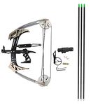 SHARROW Archery Mini Compound Bow and Arrows Set 25lbs Hunting Bows for Adult Youth Shooting Fishing (Silver)