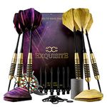 CC-Exquisite Professional Darts Set - Customizable Configuration 6 Steel Tip Darts 20g/24g with 12 Aluminum Shafts 35/48mm, 12 O-Rings, 12 Flights Standard/Slim, Dart Tool, Dart Sharpener and Case…