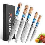 XITUO Kitchen Chef Knife Set 5 Piece, 8'' Chef Knife, 7.5'' Bread Knife, 7''Santoku Knife Damascus Steel-VG10 Blue Resin Wood Handle -Gift Box - w/Knife Sheath (5PC Chef Knife Set)…