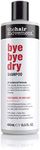 Bye Bye Dry Shampoo (400ml) - sulph